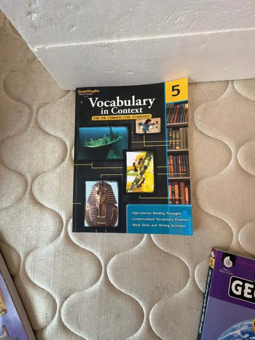 Lot of 3 5th GR Educational Workbooks: Social Studies, Vocabulary, Geography
